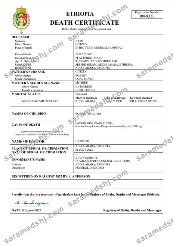Ethiopia vital record death certificate Word and PDF template
